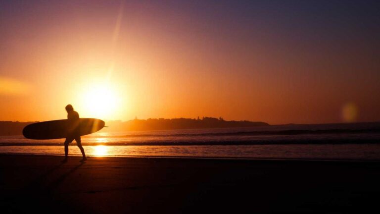 What Steps Are Needed For 11Xplay Pro Login App Setup?